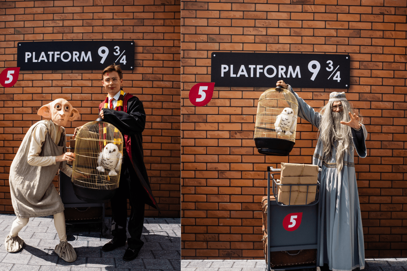 Отправляемся в лето с платформы 9 ¾ 5 элемент