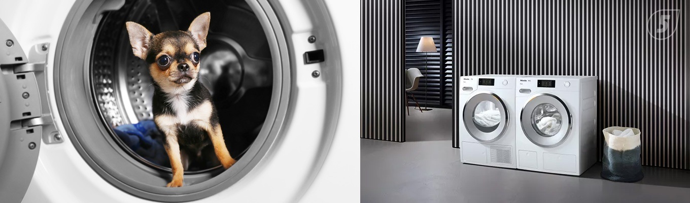 как выбрать стиральную машину: технические характеристики