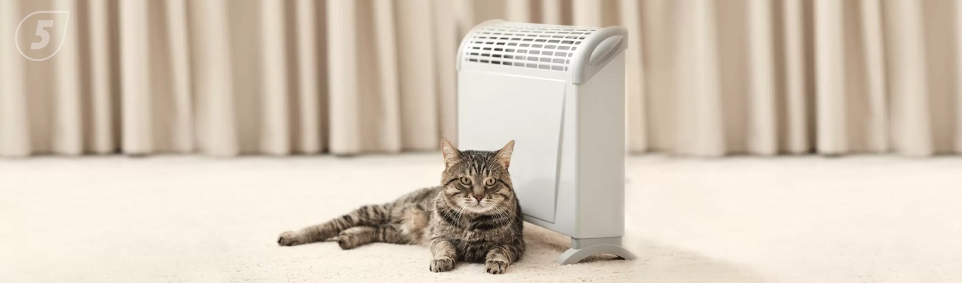 Какой обогреватель выбрать