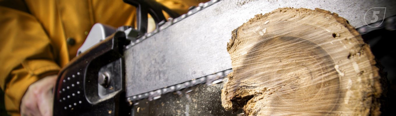 funktsii_pily.jpg бензопила в работе