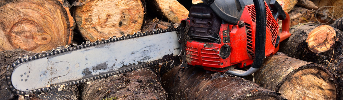 uhod_za_piloy.jpg результат работы бензопилы