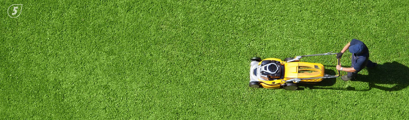 основные критерии выбора газонокосилки