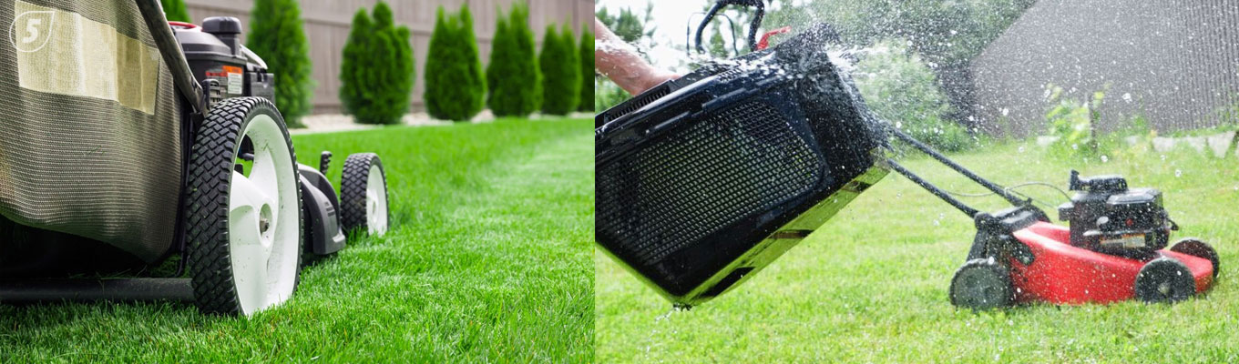какую газонокосилку выбрать