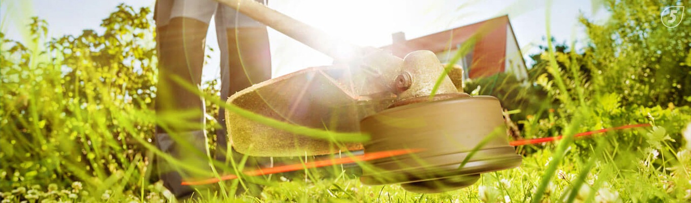 Рейтинг недорогих триммеров