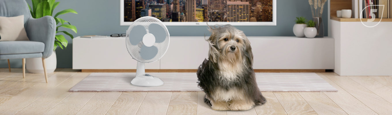 Выбор вентилятора