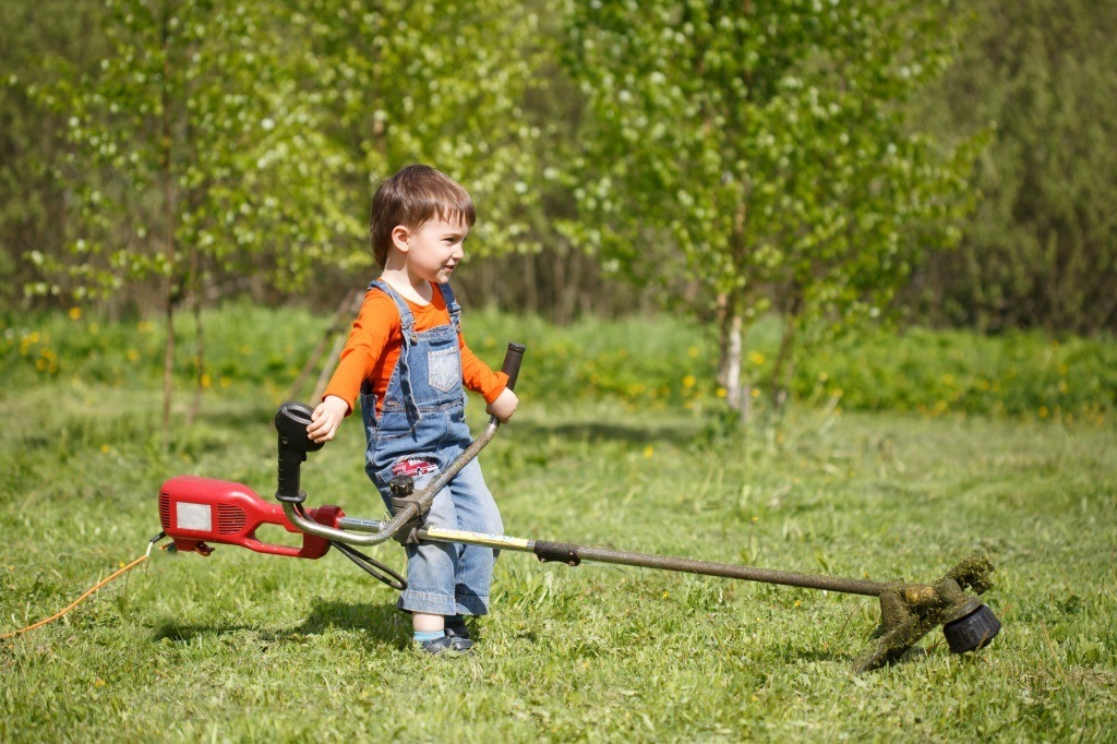 Дополнительные параметры выбора Дополнительные параметры выбора