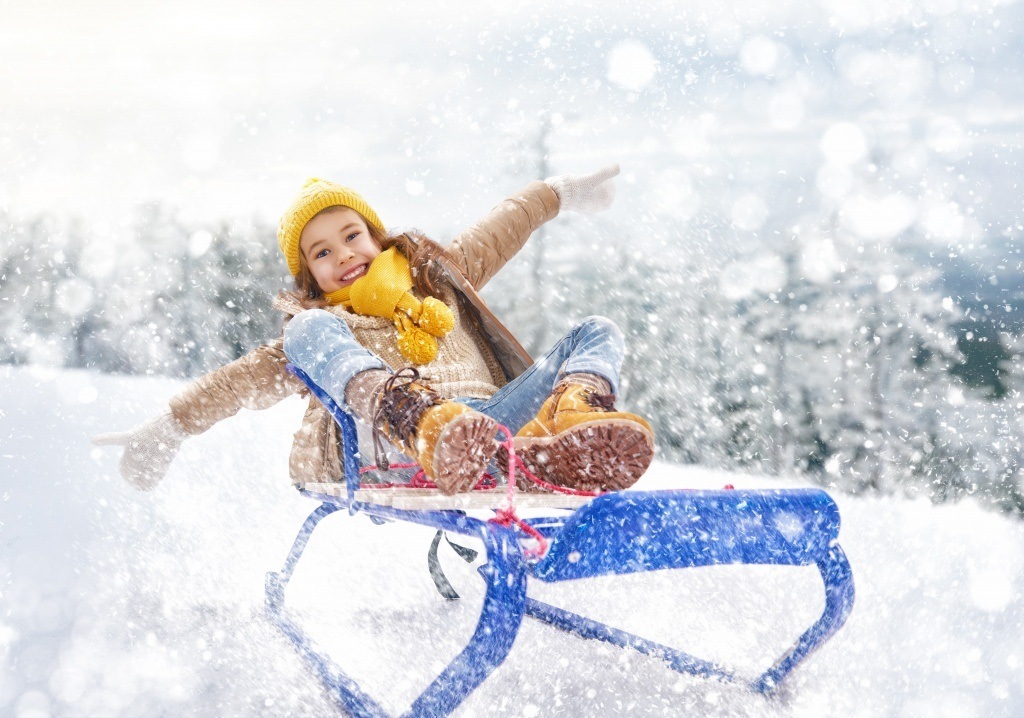 Как выбрать санки Как выбрать санки