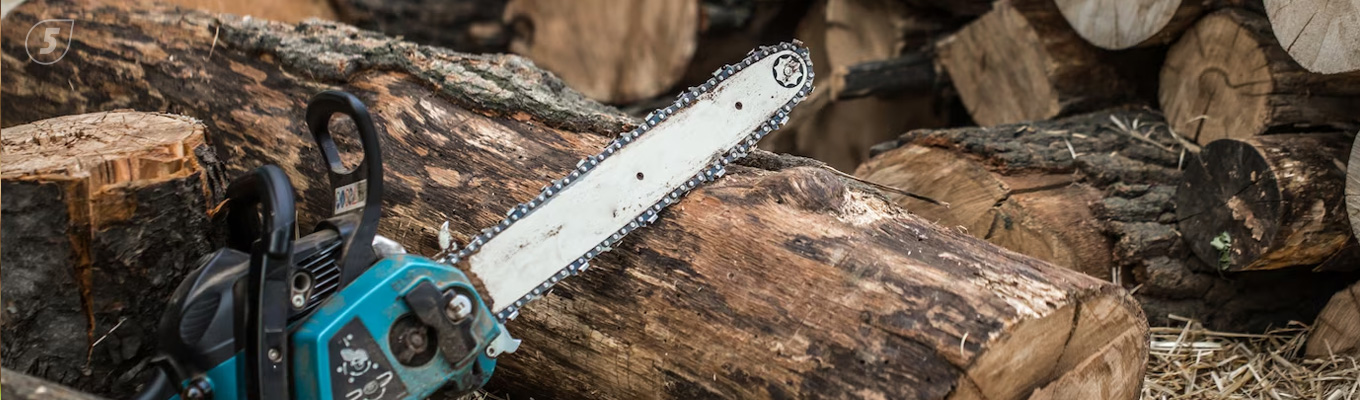 Лучшие бензопилы