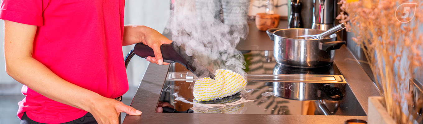 Лучшие пароочистители Лучшие пароочистители