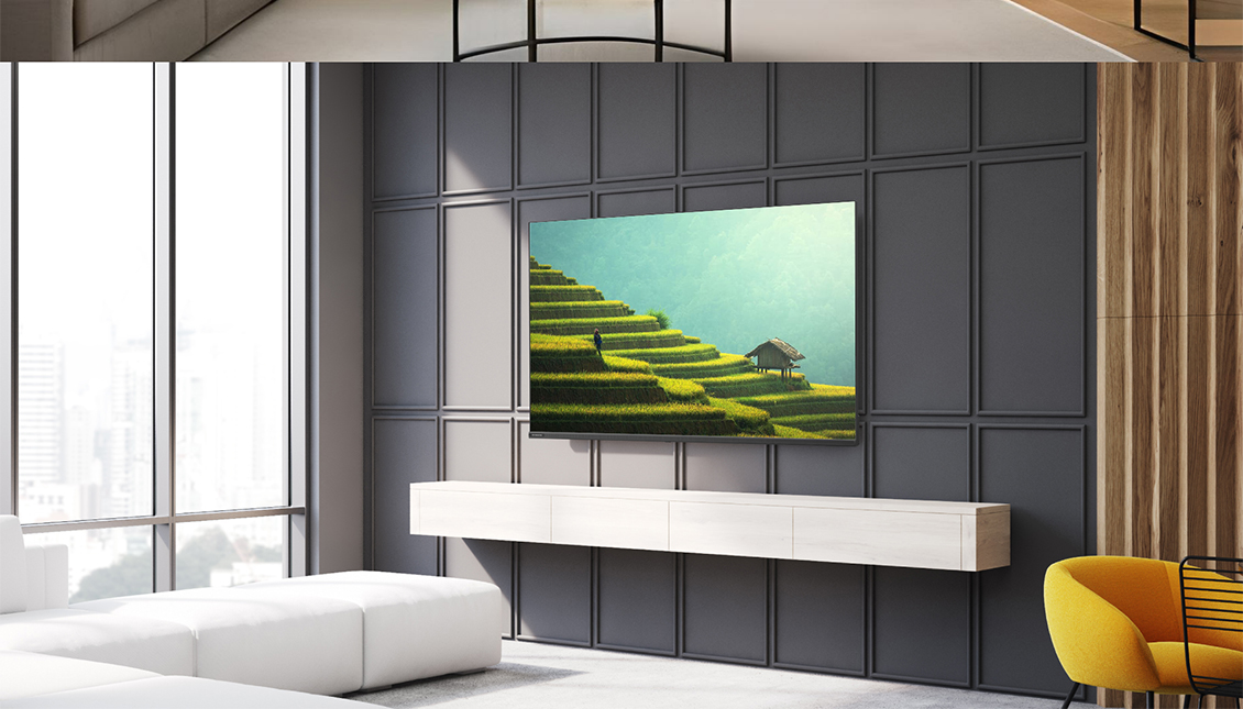 Skyworth E55G Вид