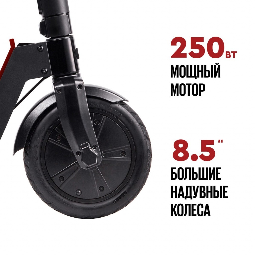 TRIBE TES - BLACK - 8.jpg