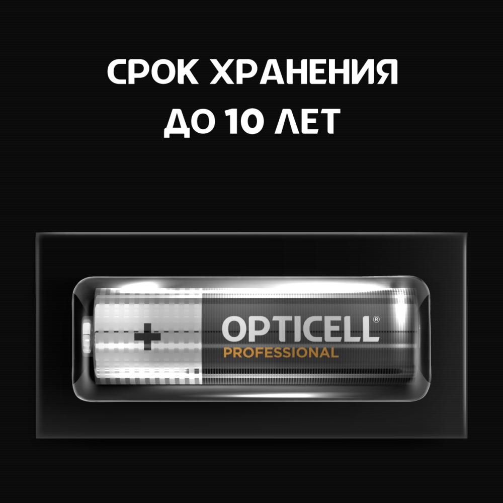 Opticell Professional AA (4 шт) Срок хранения до 10 лет