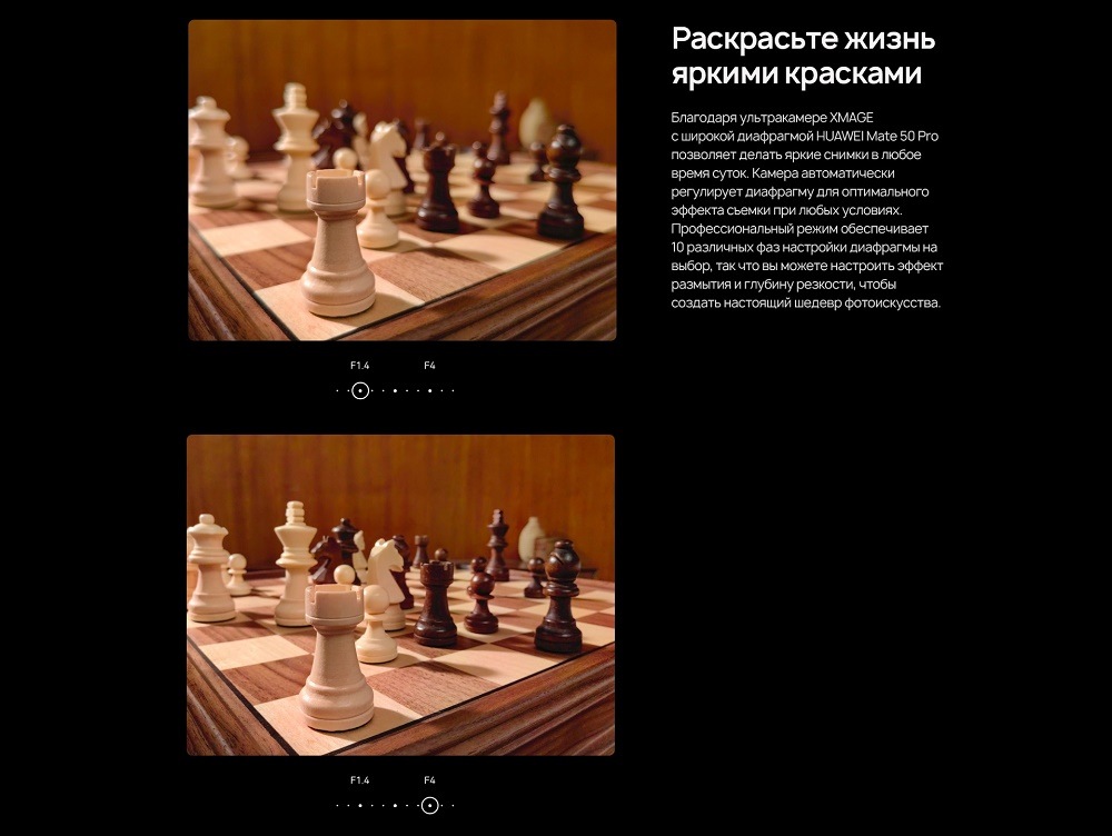 Раскрасьте жизнь яркими красками