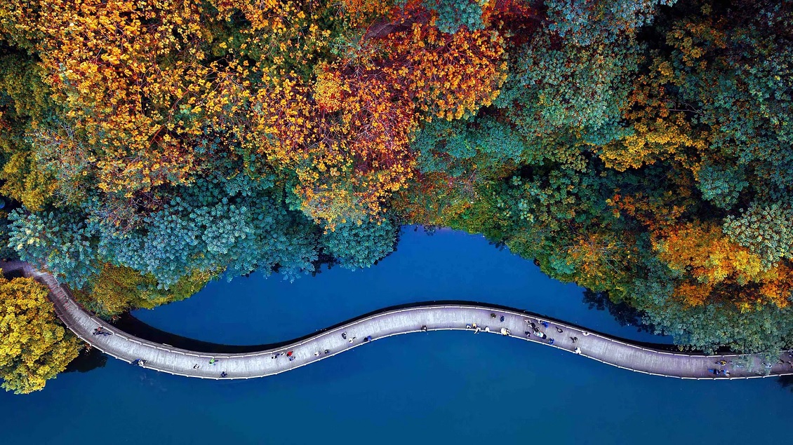 TCL 98UHD870 Изысканная детализация