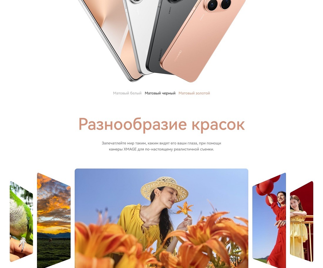 Huawei Pura 80 12GB/256GB (HED-LX9) Разнообразие красок