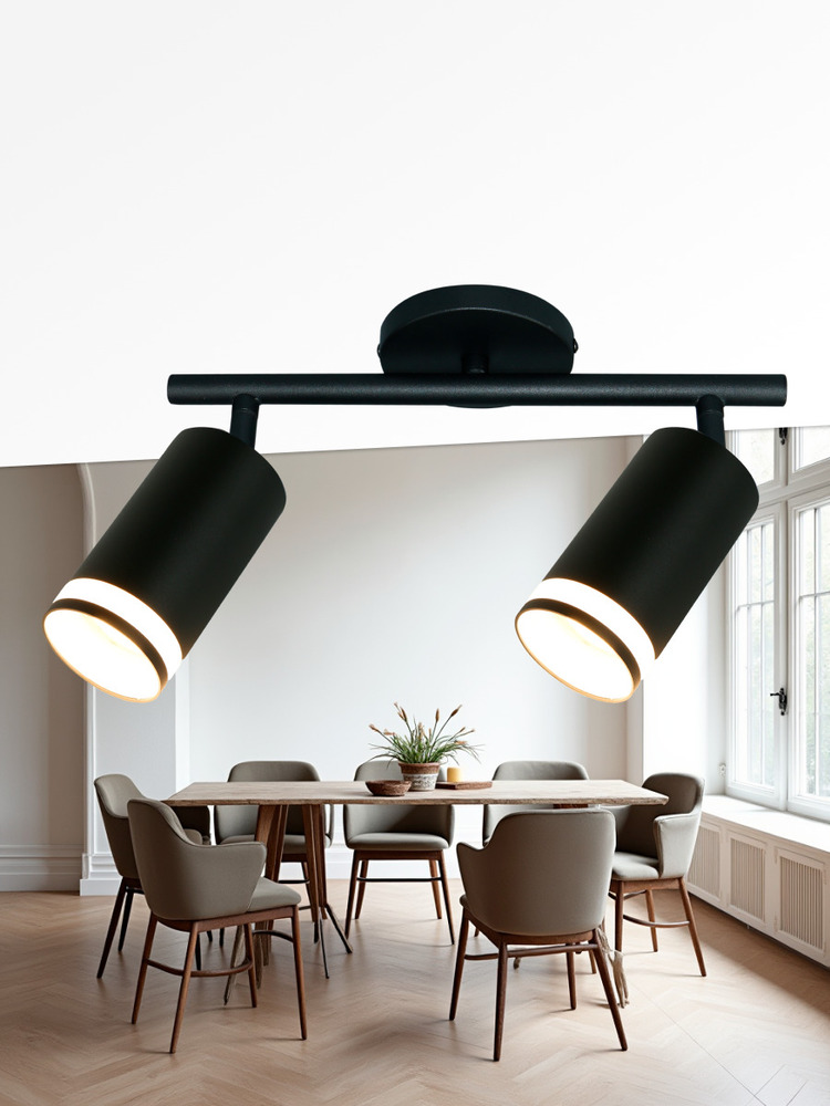 Светильник накладной поворотный TRUENERGY 21462  прмиер 1