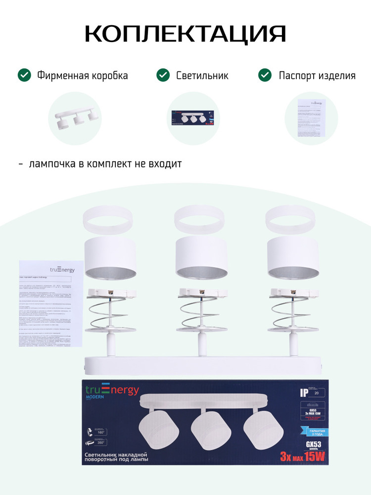 Светильник TruEnergy 21041 компектация