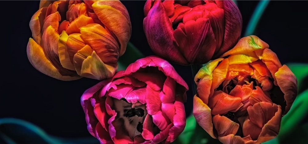 HONOR Pad 8 Цветопередача экрана