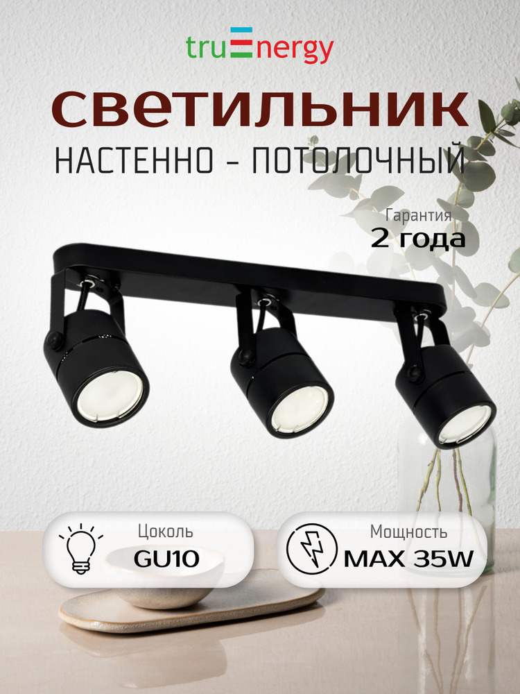 Точечный светильник TruEnergy Focus 21356 основная