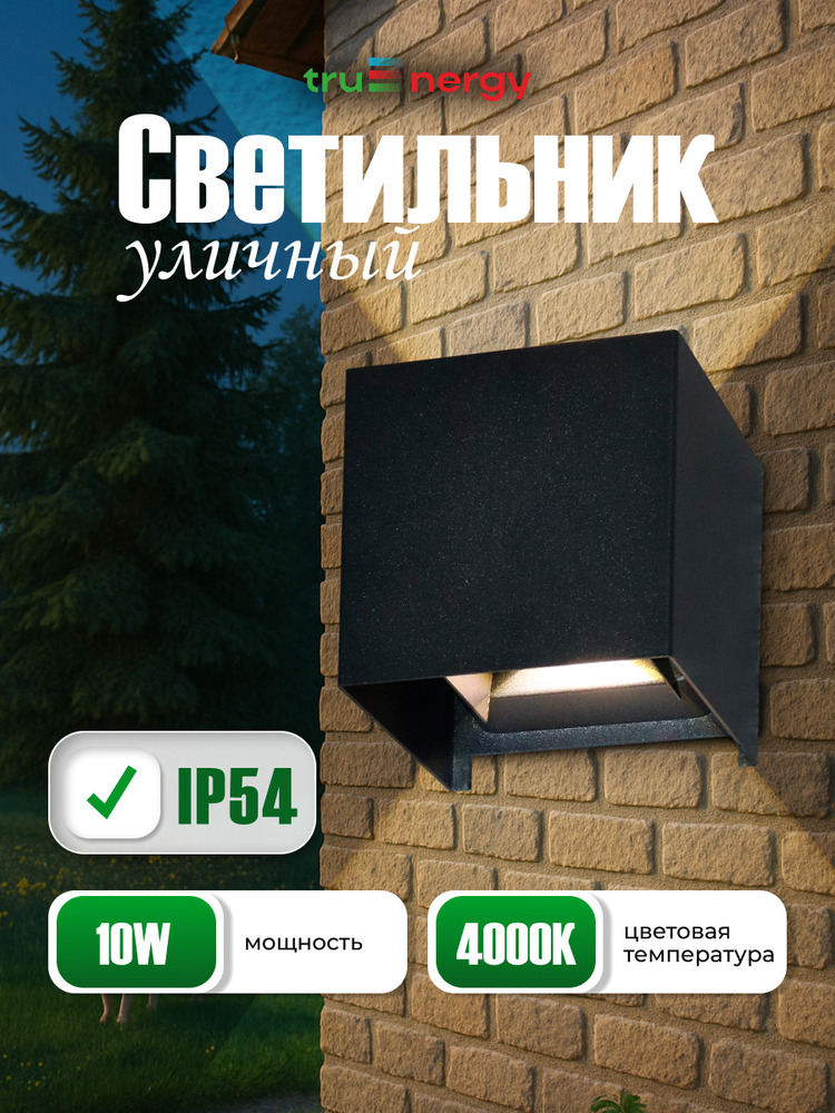Фасадный светильник TruEnergy 27001 основная