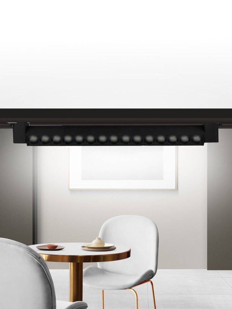 Трековый светильник TruEnergy 24014 пример 1