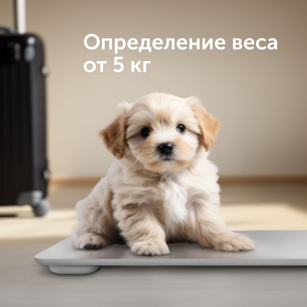 RED Solution SkyBalance RS-762S Определение веса от 5 кг