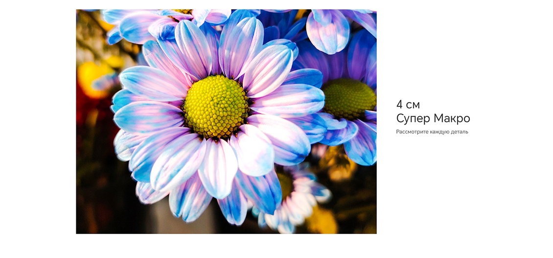 Honor X9b 12GB/256GB (оранжевый) 4 см Супер макро