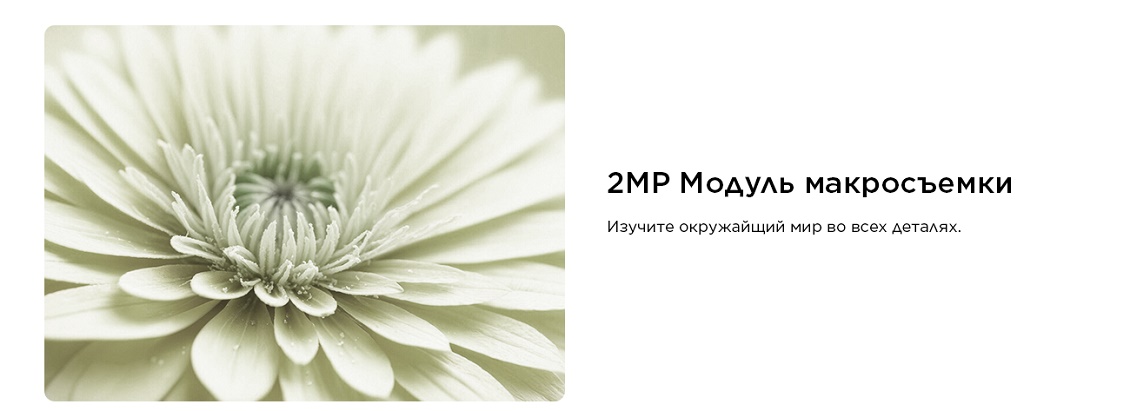 TCL 50 Pro NXTPAPER 5G Макросъемка