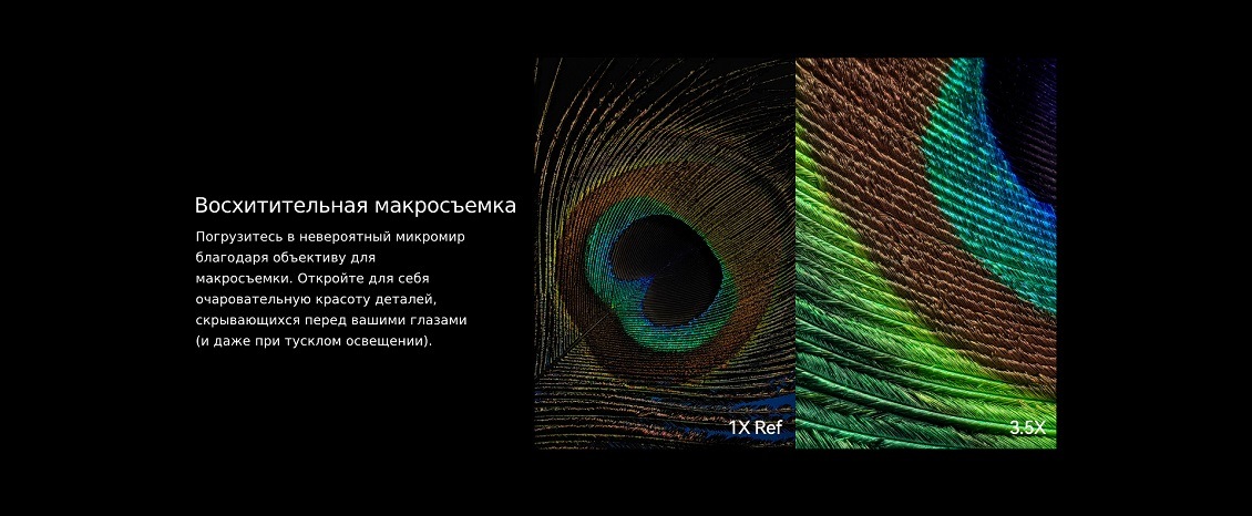 HUAWEI P60 Pro Восхитительная макросъемка