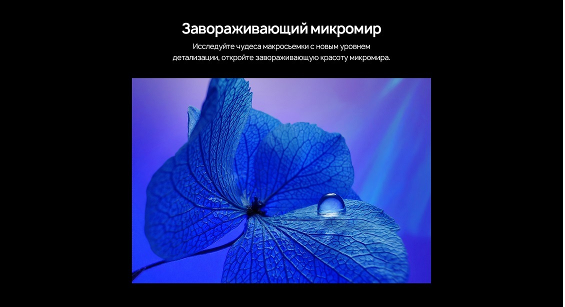 Завораживающий микромир