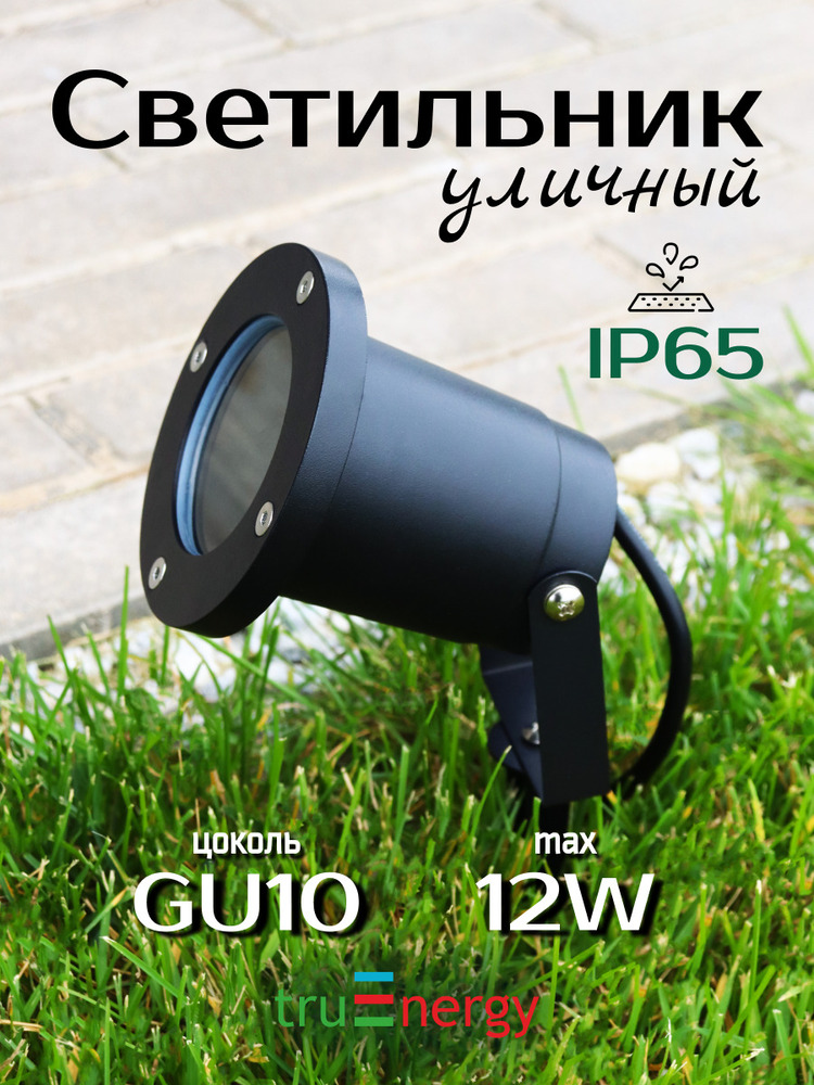 Фасадный светильник TruEnergy 26200 основная