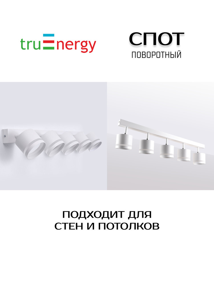 Светильник TruEnergy 21023 спот поворотный