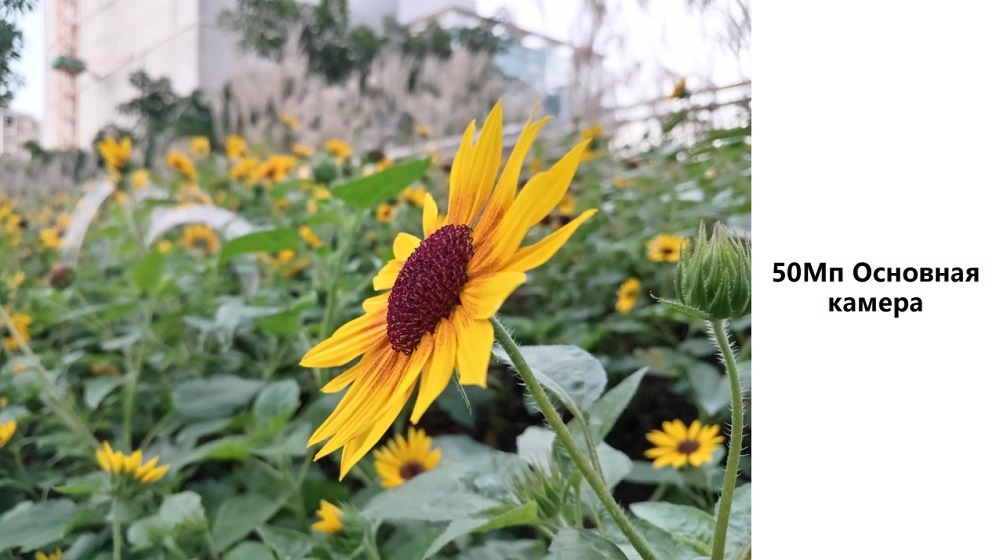 HONOR X7a Основная камера