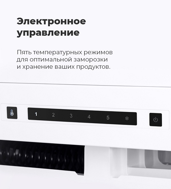 Электронное управление