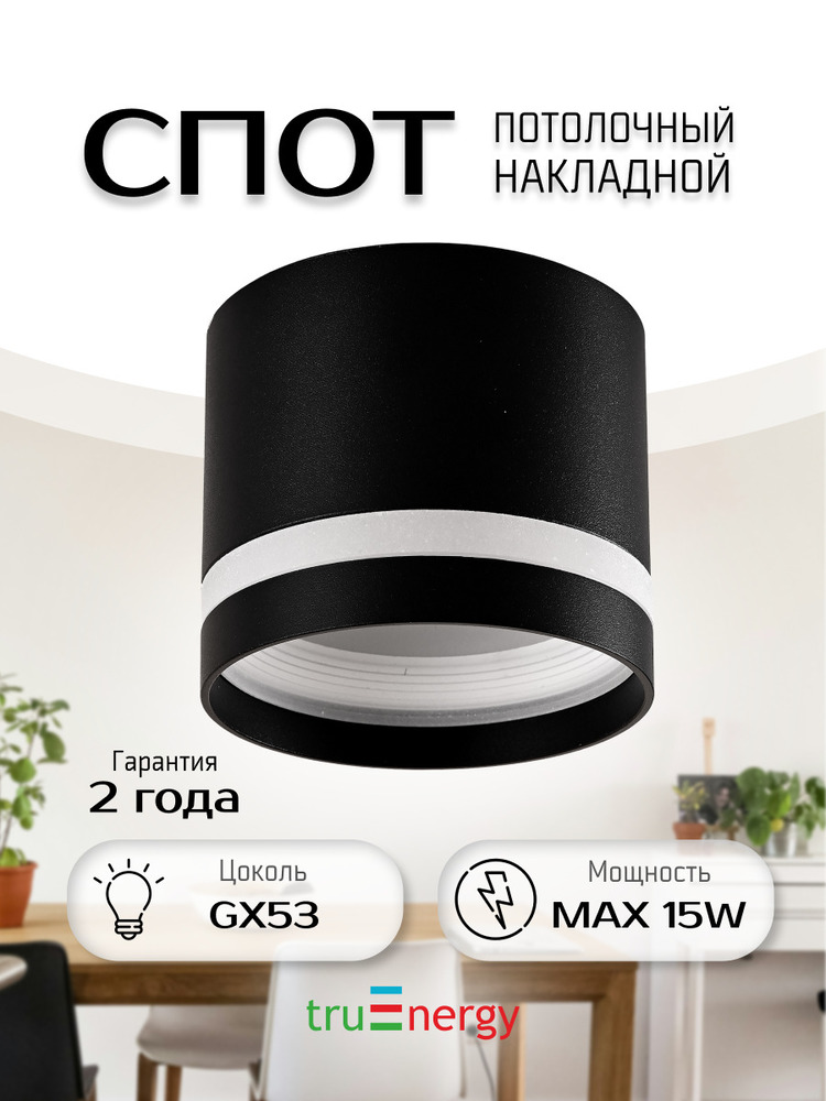 Точечный светильник TruEnergy 21016 основная