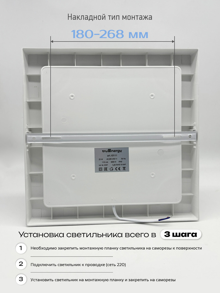 Светильник TruEnergy 10111 накладной монтаж