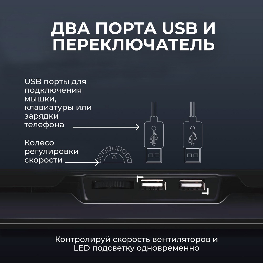 Два порта USB и переключатель