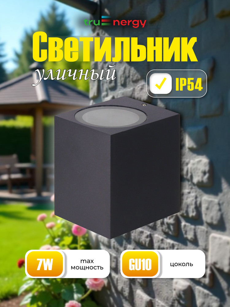 Фасадный светильник TruEnergy 26005 основная