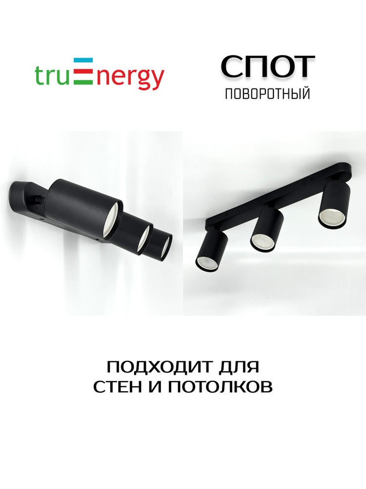 Точечный светильник TruEnergy 21362 основная