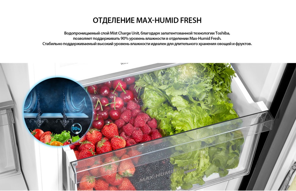 Toshiba GR-RS780WI-PMJ(06) Отделение max-humid fresh