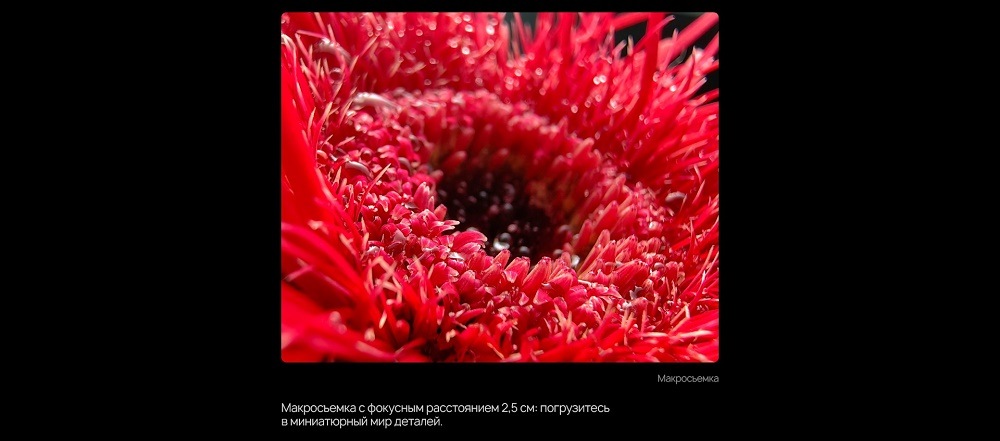 Макросъемка