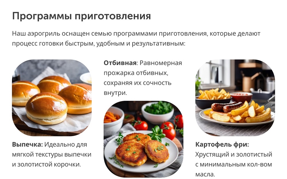 Аэрогриль RageX R202-000 программы приготовления 1