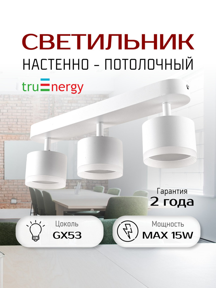 Светильник TruEnergy 21041 основная