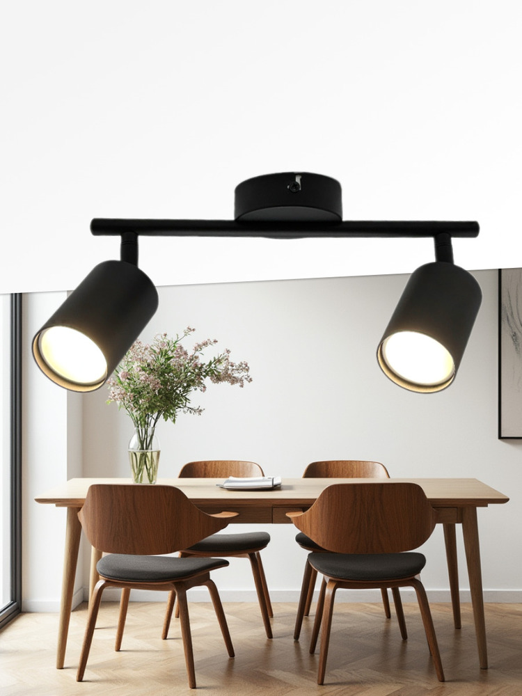 Светильник накладной поворотный TRUENERGY 21460  пример 1