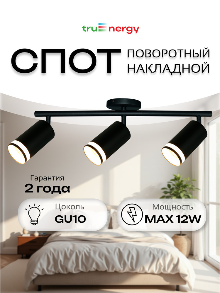 Светильник накладной поворотный TRUENERGY 21463  основная