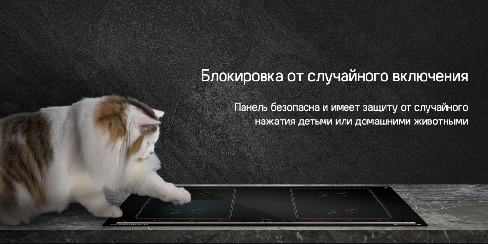 MAUNFELD CVI594SB2BKA Inverter Блокировка от случайного включения