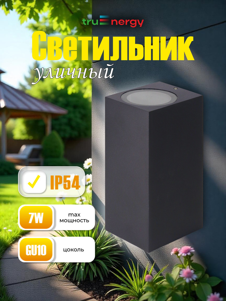 Фасадный светильник TruEnergy 26006 основная