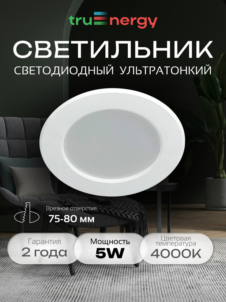 Светильник TruEnergy 10080 основная