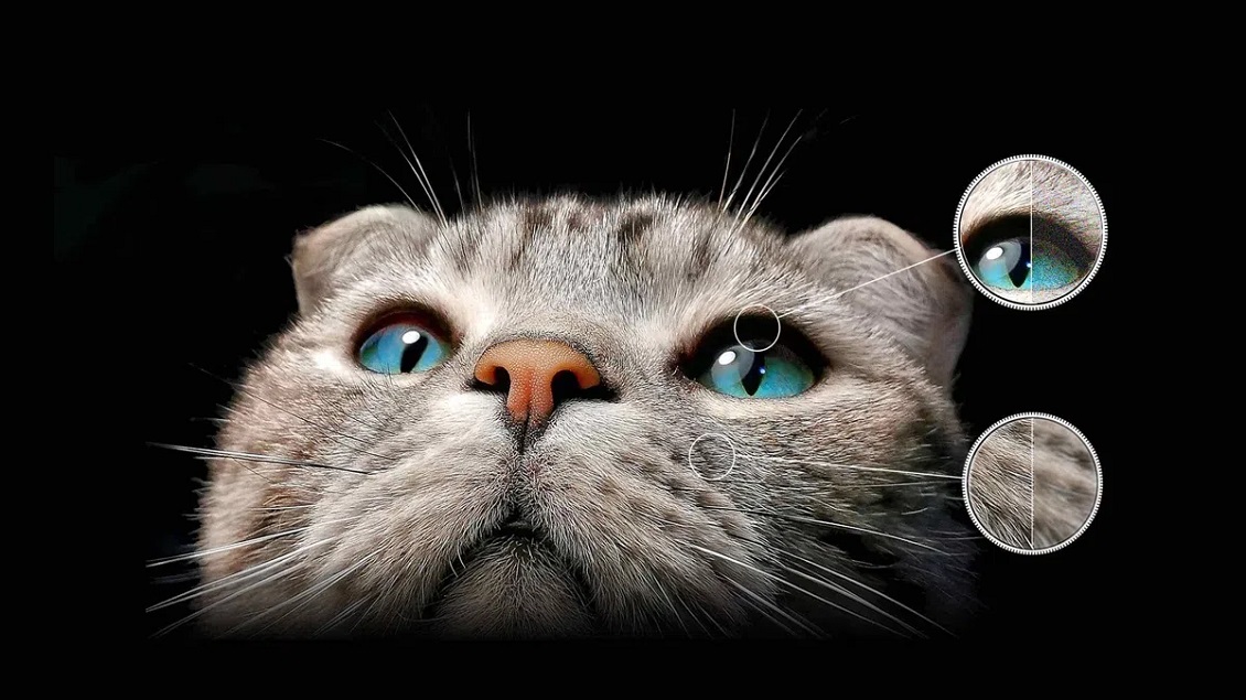 TCL 98UHD870 Самое кристально чистое видение