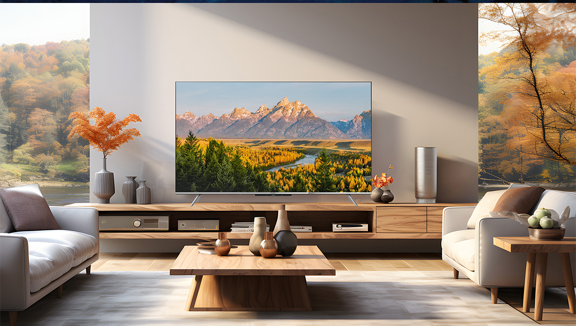 Skyworth Q66G Вид